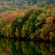 Illustration for article titled Shooting Challenge: Fall Leaves Gallery